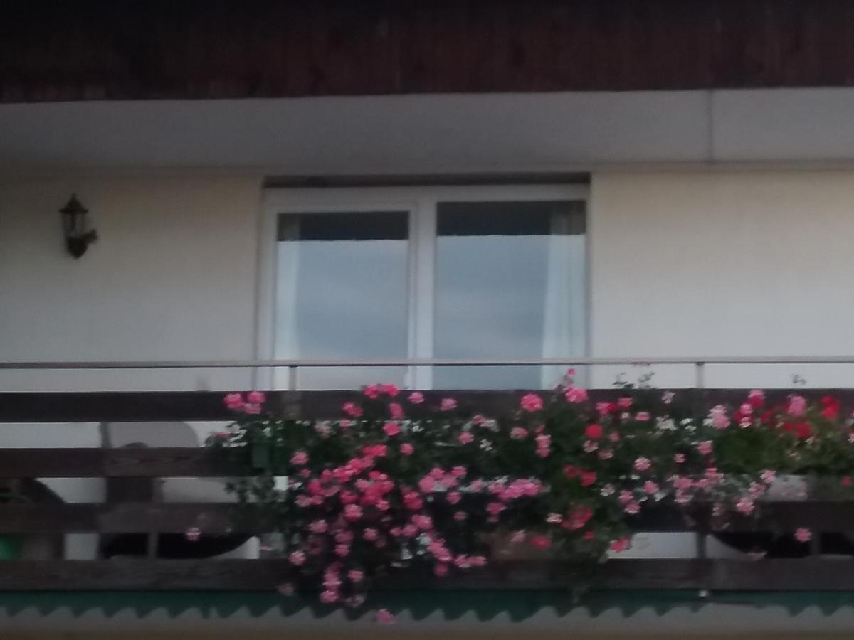 ロッハウ・バイ・ブレゲンツ Haus Biegger Bed & Breakfast エクステリア 写真